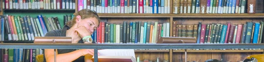 Custom Essay Help